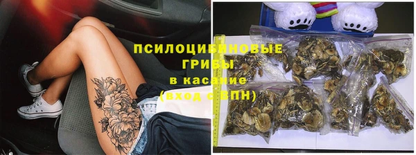 дживик Балахна