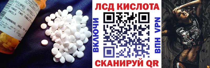 закладка  Петровск-Забайкальский  Лсд 25 экстази ecstasy 